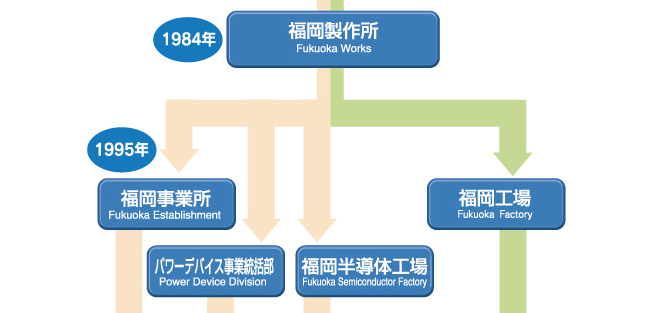 組織の歩み