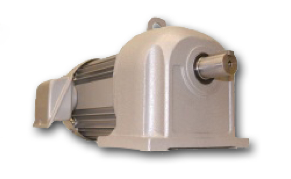 Geared Moter