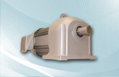 Geared Moter