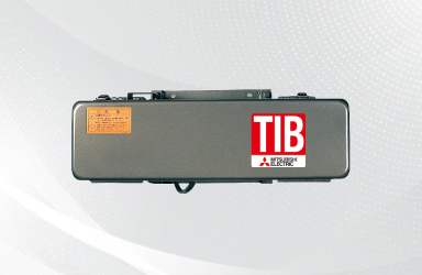 TIB2 Type