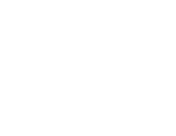 スケジュール
