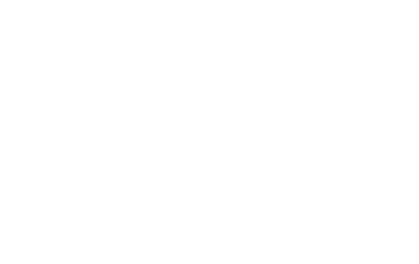 スケジュール