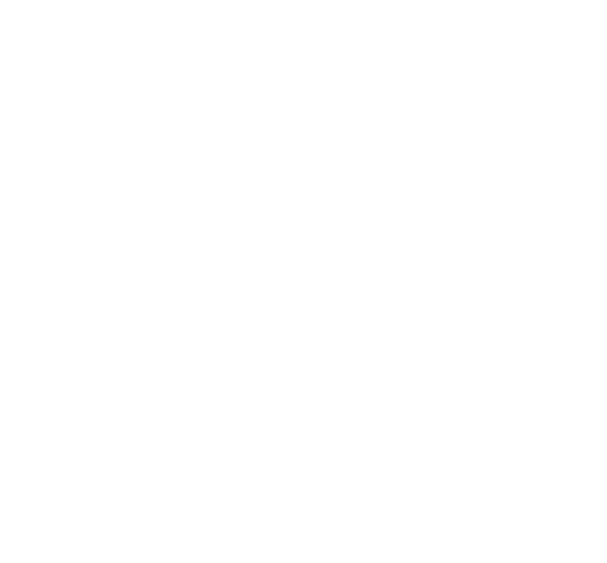 スケジュール
