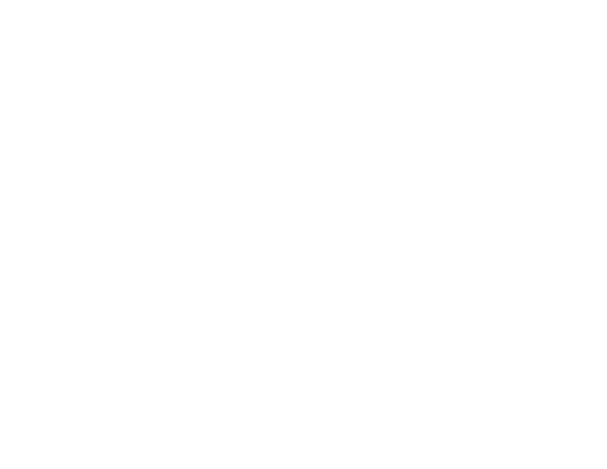 スケジュール
